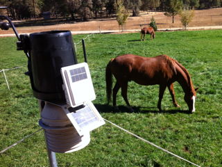 [Weather Station]